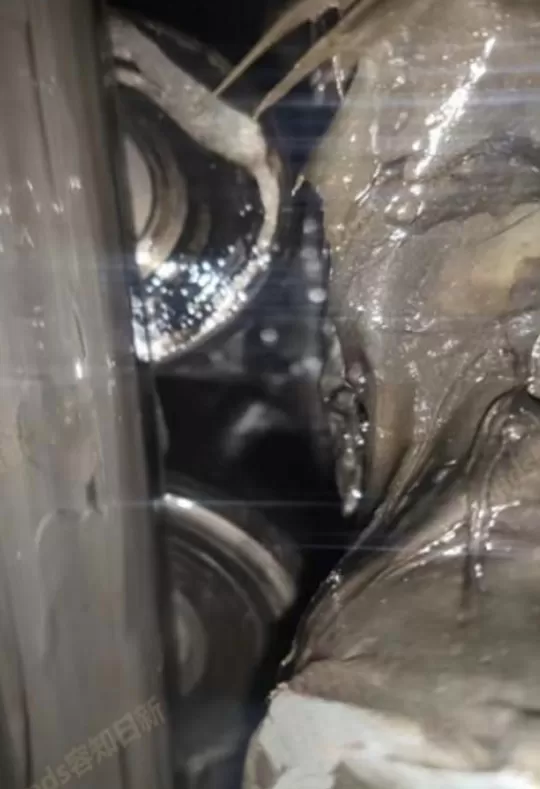 Datang Kushui Dong Wind Farm 1#-